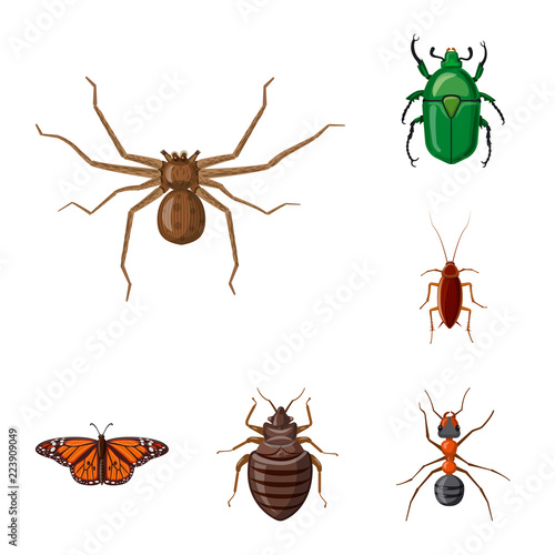 Isolated object of insect and fly symbol. Collection of insect and element vector icon for stock.