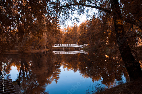 Pushkin Manor Park in the village of Bolshoe Boldino. White bridge. Autumn in Boldino, Russia, Nizhny Novgorod photo