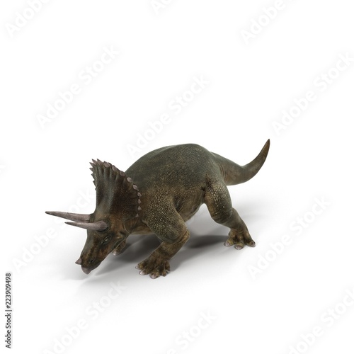Triceratops dinosaur on bright background. 3D illustration © 2dmolier