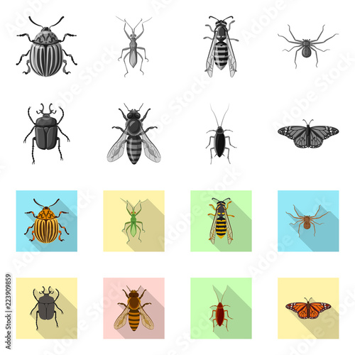 Vector illustration of insect and fly sign. Collection of insect and element stock vector illustration. © Svitlana