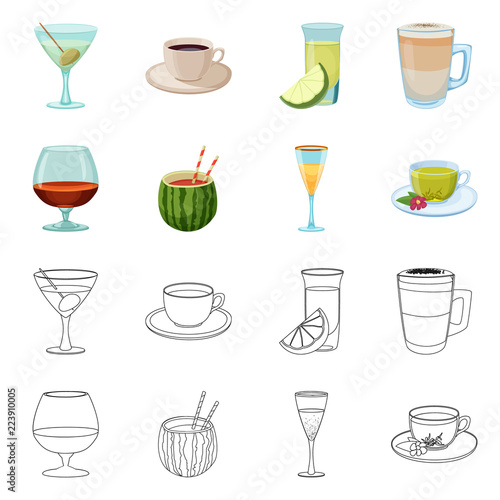 Vector illustration of drink and bar logo. Collection of drink and party stock symbol for web.