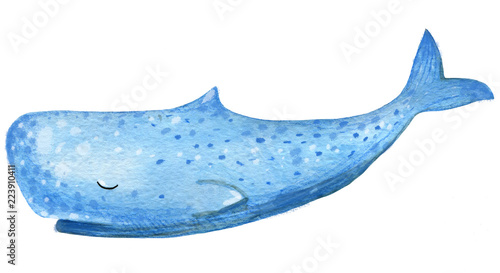 Cute watercolor ocean fish on the isolated white background.