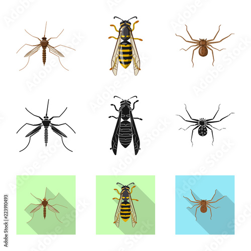 Vector design of insect and fly icon. Collection of insect and element stock vector illustration. © Svitlana