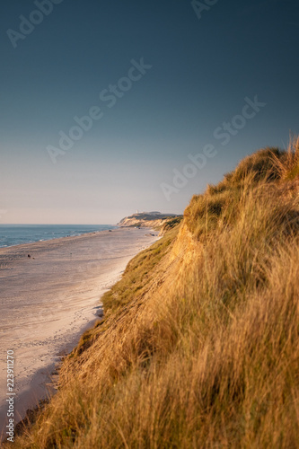 Fototapeta Naklejka Na Ścianę i Meble -  Coastline panorama view with endless beaches and giant grass sand dunes at the northern danish sea. Løkken in North Jutland in Denmark, Skagerrak, North Sea