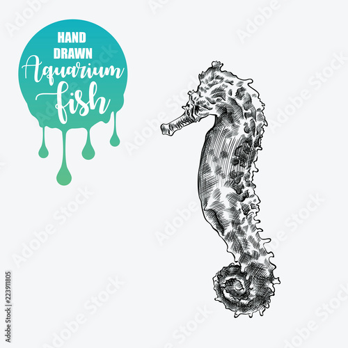 Hand drawn seahorse sketch isolated on white background and blob with drops. Aquarium fish and undersea world sketch elements vector illustration.