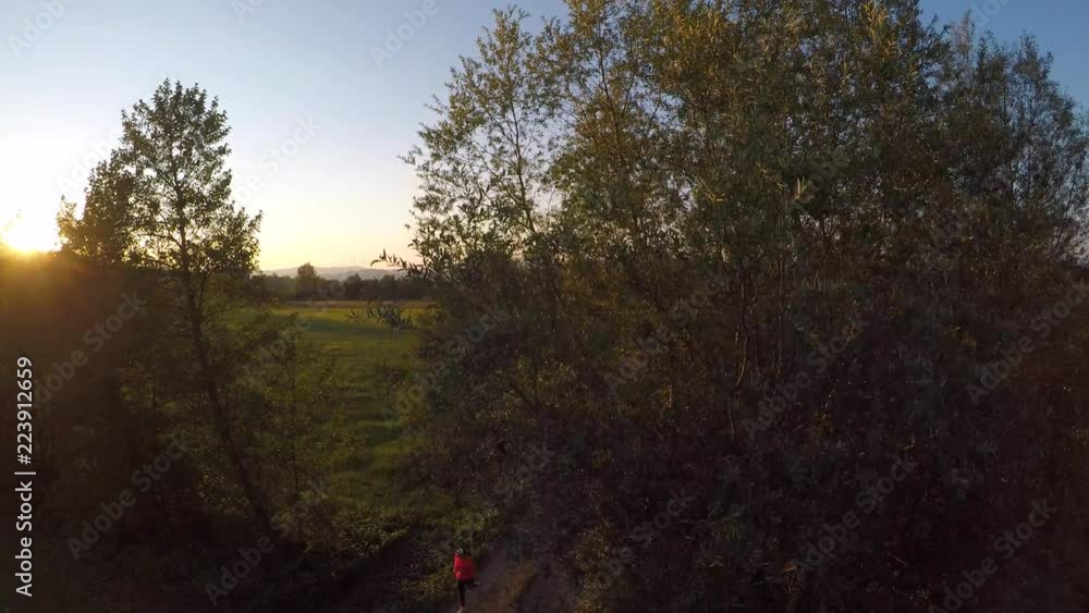 Aerial view. Woman running at sunset on a country road. Aerial flares