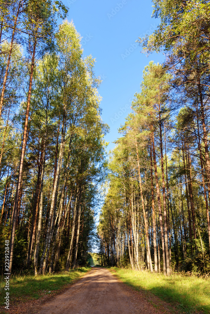 Fototapeta premium wiejska droga polna