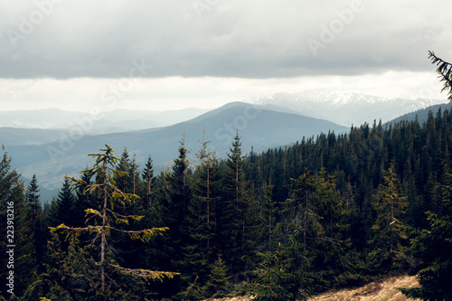 landscape in mountains Carpathians Ukraine photo