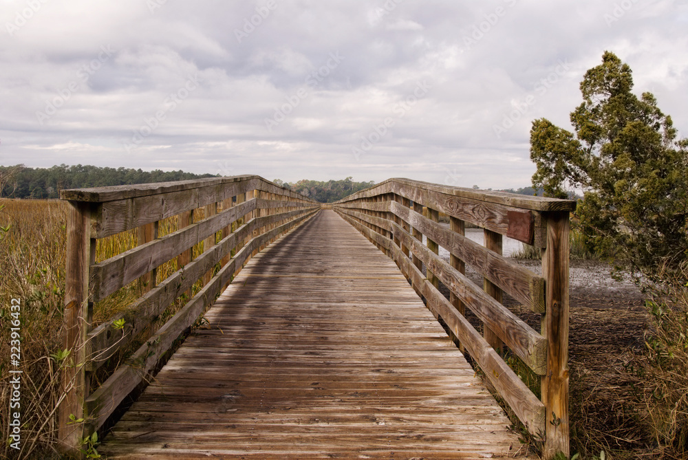 Boardwalk Over a Marsh near Myrtle Beach South Carolina