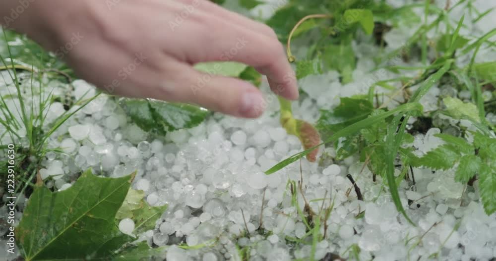 Slow motion closeup pov male hand showing hailstones after hailstorm Slow motion closeup pov male hand showing hailstones after hailstorm