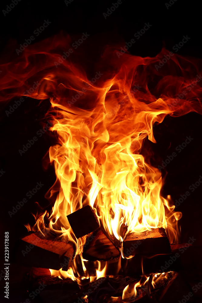 Long tongues of flame of burning fire Long tongues of flame of burning fire