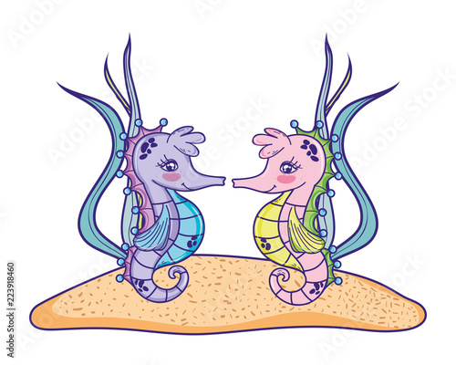 seahorses couple animal with seaweed plants