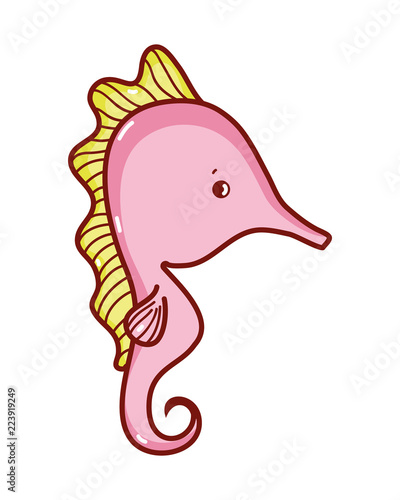 cute seahorse exotic sea animal