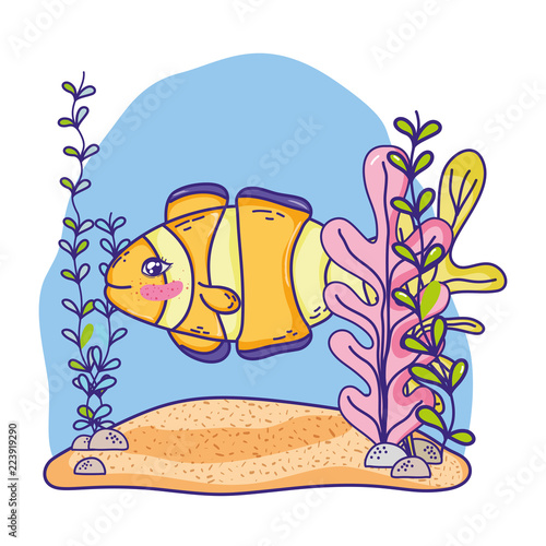 tropical crownfish animal with seaweed plants photo