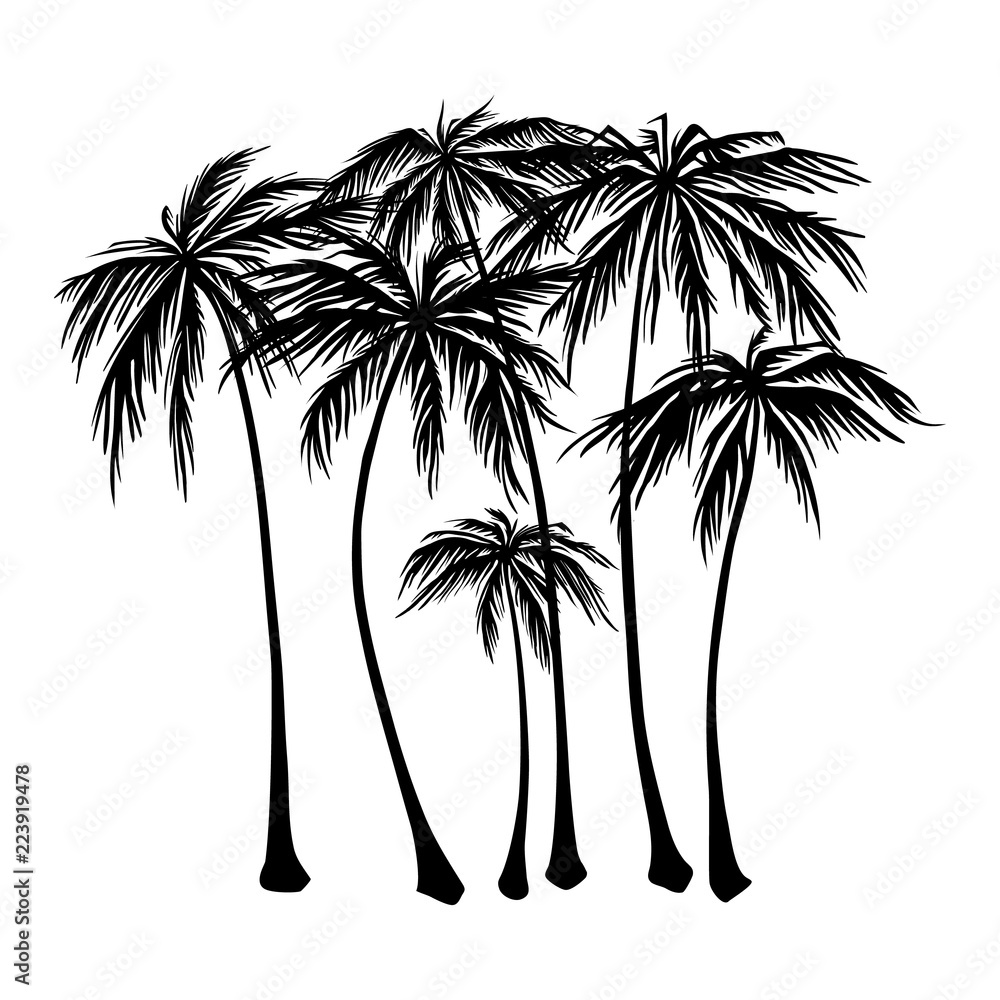 set of black Palm trees silhouette on a white background. Vector illustration, design element for congratulation cards, print, banners and others