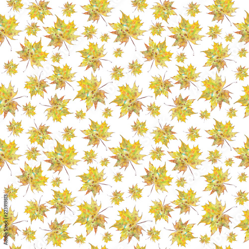 Seamless pattern of autumn maple leaves. Watercolor on white  background.