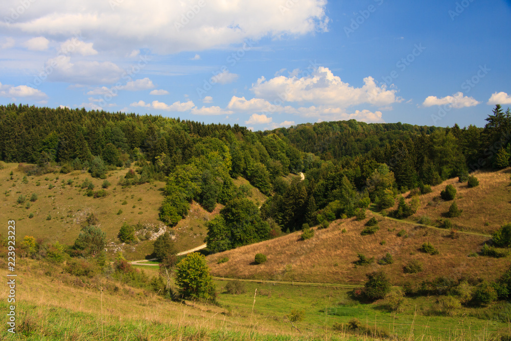 Fototapeta premium Wacholderheide auf der Schwäbischen Alb