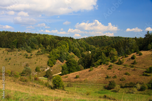 Wacholderheide auf der Schw  bischen Alb