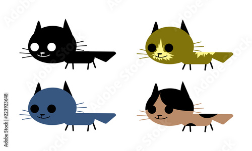 猫