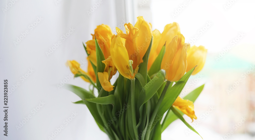 A bouquet of red tulips in a vase on the windowsill. A gift for A bouquet of red tulips in a vase on the windowsill. A gift for
