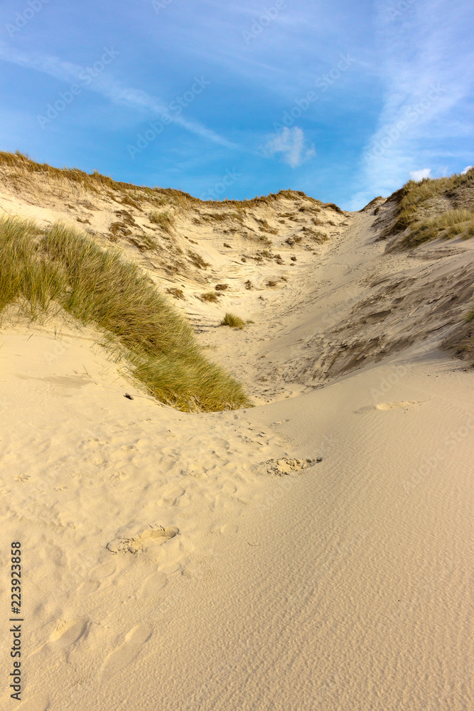 dunes with grass at the seaside of northern holland. Sand hill and beautiful blue sky on a sunny day in the background. climbing up a sanday path. dunes with grass at the seaside of northern holland. Sand hill and beautiful blue sky on a sunny day in the background. climbing up a sanday path.