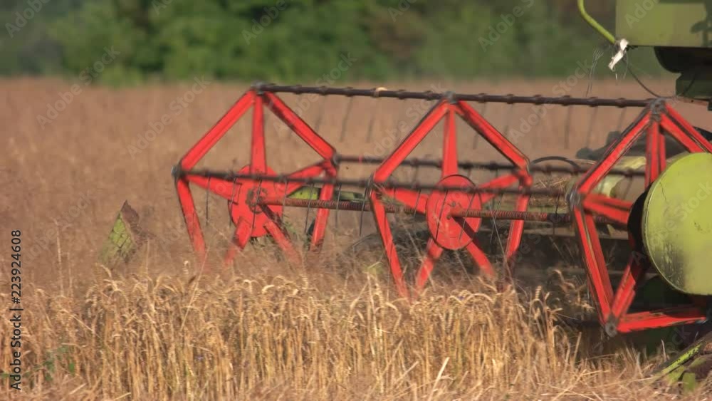 One big combine harvester, close up. Dry golden wheat field. One big combine harvester, close up. Dry golden wheat field.
