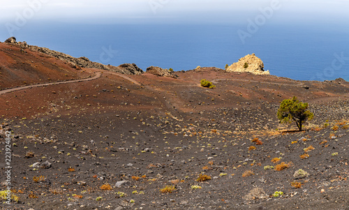 Volcanic Landscape in La Palma  Canary Islands