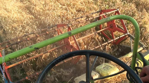 Combiner driver on the field. Harvesting wheat, combiner driver hand and rudder. photo