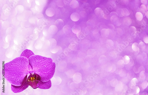 Bokeh background and space in center for  text and for card purple color .