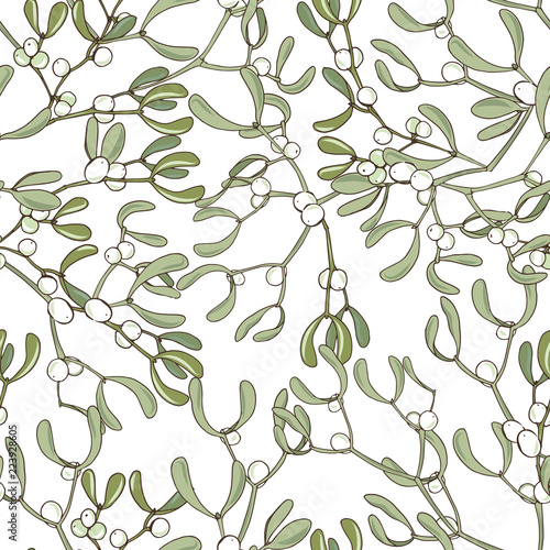 Christmas plants, mistletoe branches on white background, vector illustration
