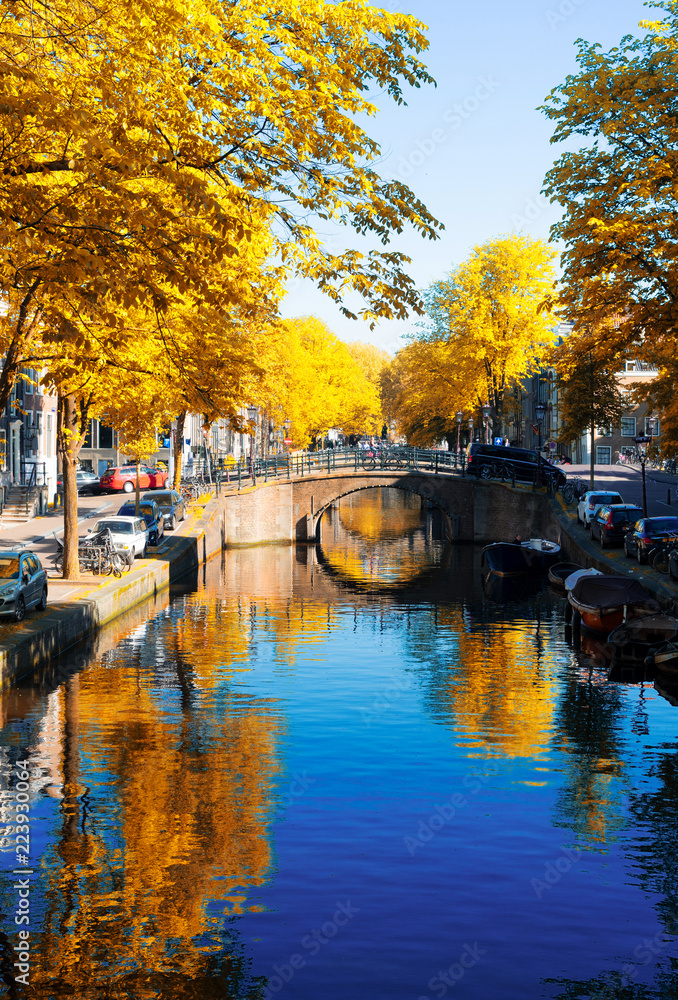 bridge of Amsterdam over canal ring landmark in old european citye, Amsterdam fall scenery with tree lush