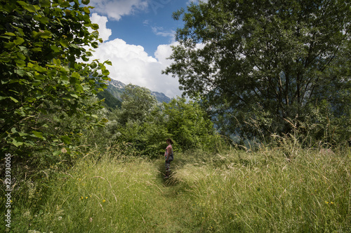 pasture mountain landscape in Slovenia photo