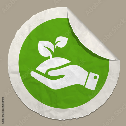 eco symbol plant in hands