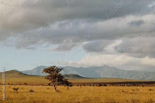 The savannah landscapes of Taita Hills Wildlife Sanctuary, Voi, Kenya