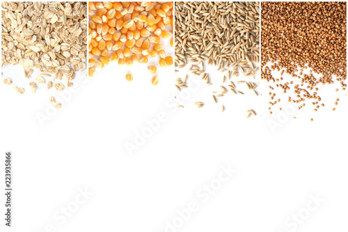 Set with different cereals with space for text on white background