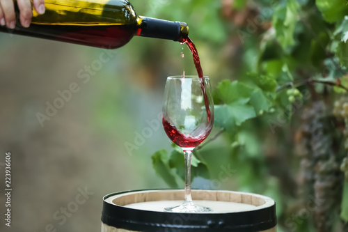 Woman pouring red wine into glass on barrel in vineyard