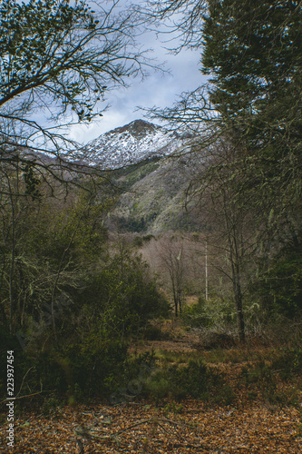 The beginning of Spring in LAs Trancas, a worldwide Biosphere Reserve and one of the best ski resorts in Latin America