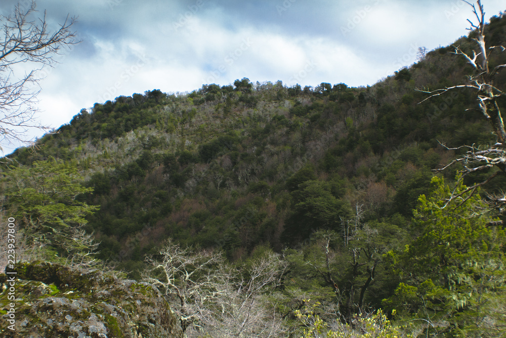 The beginning of Spring in LAs Trancas, a worldwide Biosphere Reserve and one of the best ski resorts in Latin America The beginning of Spring in LAs Trancas, a worldwide Biosphere Reserve and one of the best ski resorts in Latin America