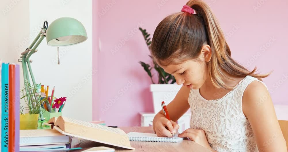 Cheerful student doing homework and smiling at camera Cheerful student doing homework and smiling at camera