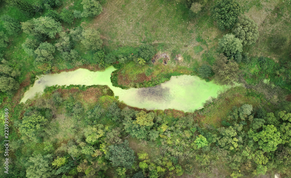 Small pond from the drone