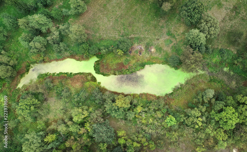Small pond from the drone