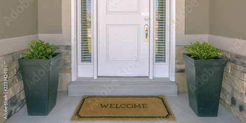 Front door with doormat plants and glass panel