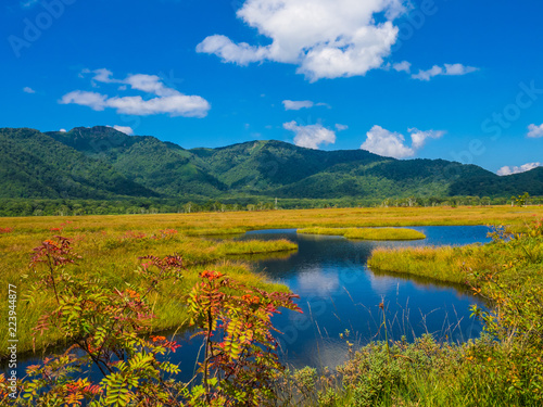 It is a scenic autumn landscape. The wood road gives a feeling of depth to the picture. I shot at Oze in Japan's national park.
