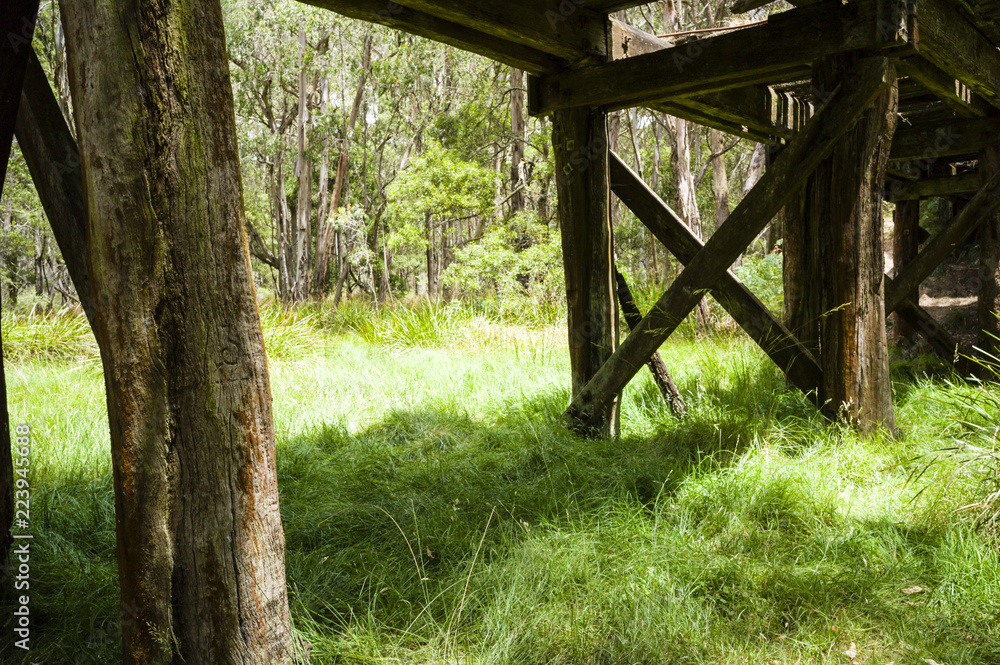 Old disused timber railway bridge in bushland near Daylesford, Victoria, Australia Old disused timber railway bridge in bushland near Daylesford, Victoria, Australia