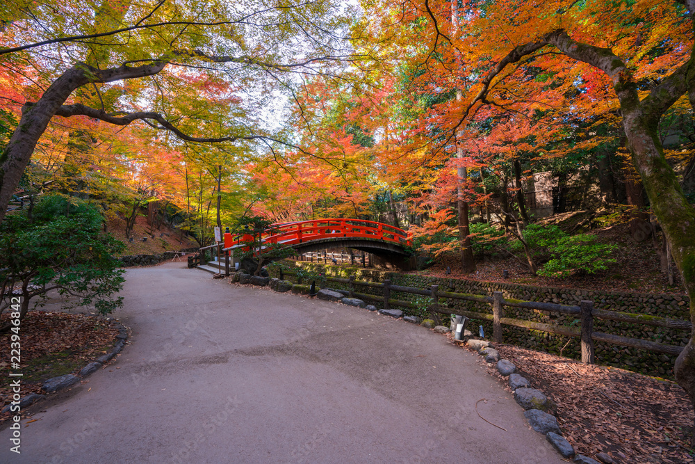 Naklejka premium 京都 北野天満宮 もみじ苑の紅葉