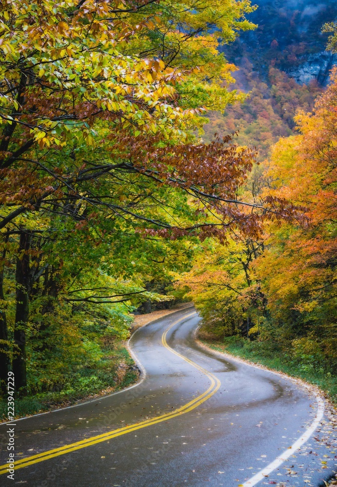 Fototapeta premium Vermont scenic drive in Autumn