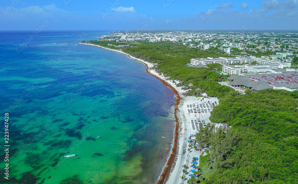 drone shoot cost line sea and beach with palm treas and houses Playa Del Carmen Mexico 