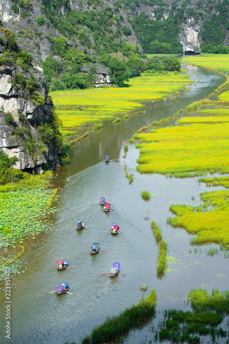 Tourist ride boat for travel sight seeing Rice field on river 