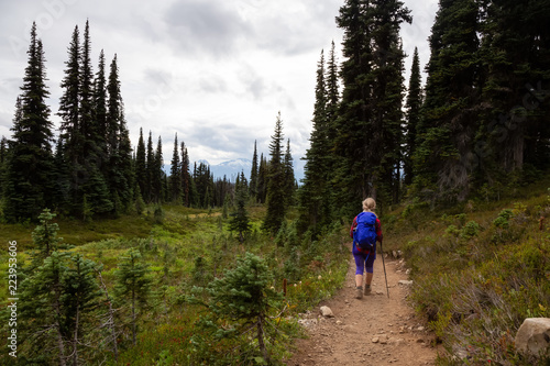 Girl hiking on a trail in nature during a vibrant sunny summer day. Taken in Garibaldi Provincial Park, located near Whister and Squamish, North of Vancouver, BC, Canada.