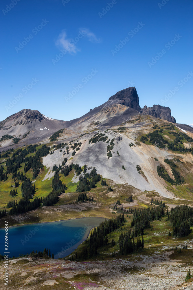 Beautiful Canadian Mountain Landscape view during a vibrant sunny summer day. Taken in Garibaldi Provincial Park, located near Whister and Squamish, North of Vancouver, BC, Canada.